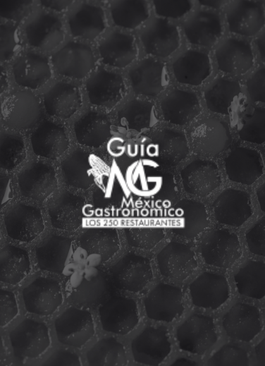 A background featuring a honeycomb pattern and flowers frames the logo of the Guía México Gastronómico – Los 250 Restaurantes, a nationally recognized guide that ranks KOLI among the country’s best restaurants.